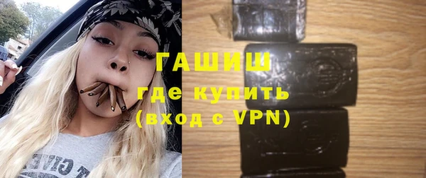 гидра Богданович