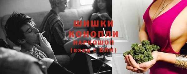 бошки Бородино