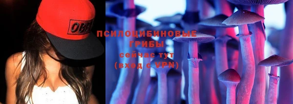 бошки Бородино