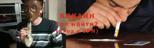 бошки Бородино