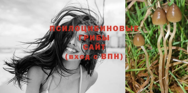 молекула духа Бугульма