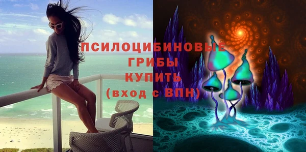 бошки Бородино
