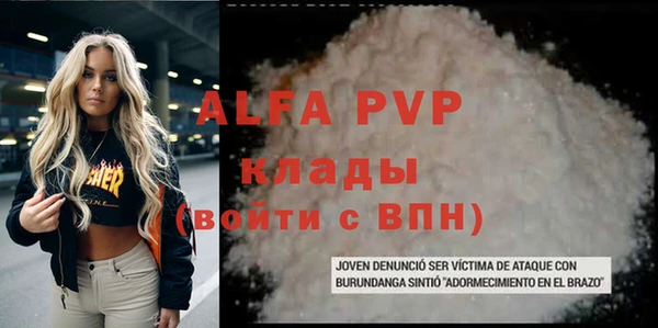 бошки Бородино
