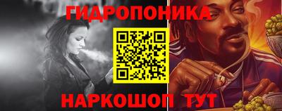 spice Новозыбков