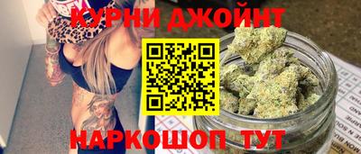 крисы Новодвинск