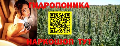 крисы Новодвинск