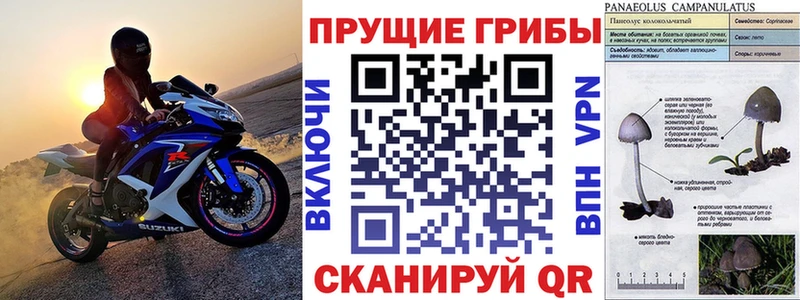 Псилоцибиновые грибы MAGIC MUSHROOMS  Вязьма 