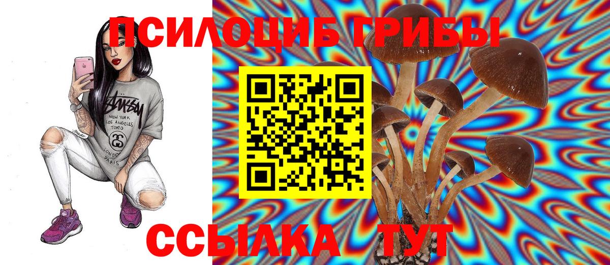 Галлюциногенные грибы Psilocybe Вязьма