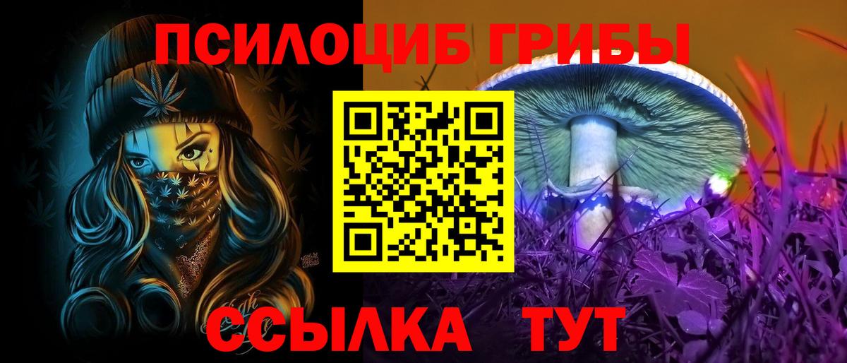 Галлюциногенные грибы прущие грибы  Вход с VPN  Псилоцибиновые грибы мицелий  Вязьма 